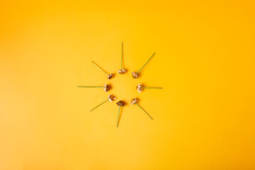 círculo dibujado con margaritas marchitas sobre fondo naranja.  Dibujo de sol, calor y verano © Cristina