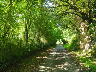 La senda del Oso, es una vía verde de Asturias. España.