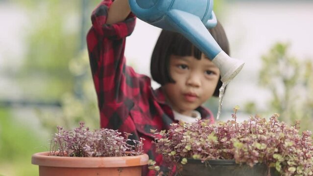 Selective focus on the watering can Asian Thai girl Pretty and cute, she was gently watering the Callisia Repens plant in her garden. in a fun and happy way She is a child who loves nature and plants.