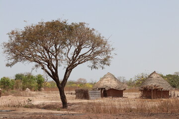 Landscape in West Africa