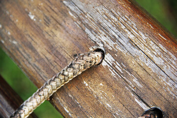 caterpillar on wood