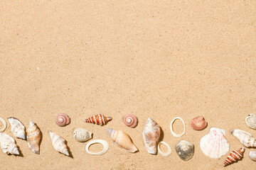 Fototapeta na wymiar Muchas conchas marinas diferentes en la costa del mar sobre arena fina y dorada. Vista superior. Copy space