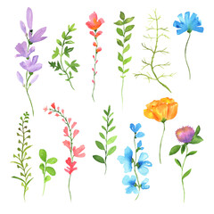 Watercolor Summer Floral Digital art Logo Card Wedding Invitations