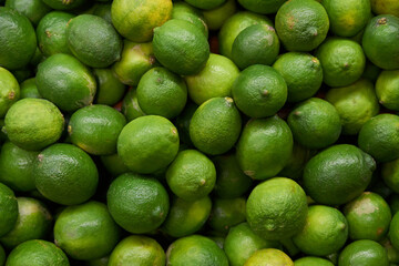 Green lemons placed on a shelf for sale at a market