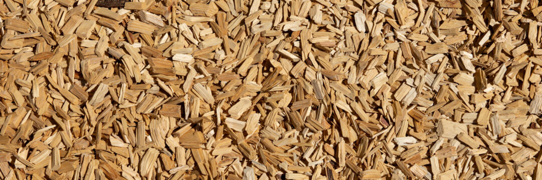 Wood chips texture. Panoramic wooden background