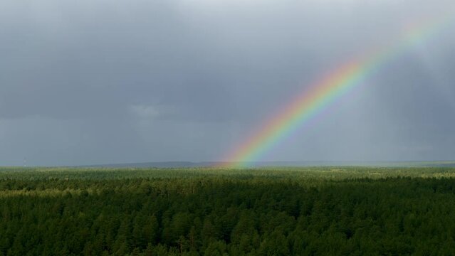 Rainbow over the forest with all colors