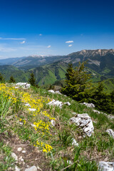 Colorful spring mountain landscape. Mount Velka Chochula, the Low Tatras, Slovakia.