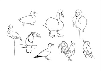 set of birds, linear doodle