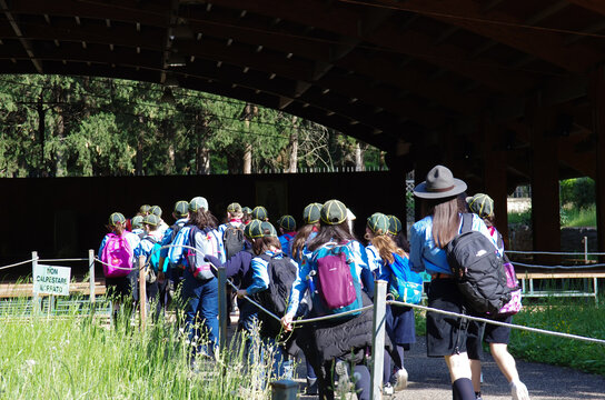 Group Of Boy Scouts On Their Way To The Meeting