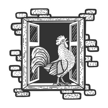 rooster cock crows sings in window of house sketch engraving raster illustration. T-shirt apparel print design. Scratch board imitation. Black and white hand drawn image.