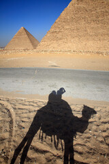 Camel's shade and Pyramids of Chefren and Cheops, Giza, Egypt
