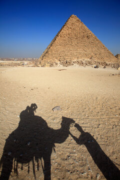 Camel's Shade And Pyramids Of Menkaure, Giza, Egypt