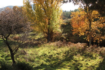 Paisaje de la sierra de Ciudad Rodrigo, Salamanca (España) en plena primavera
