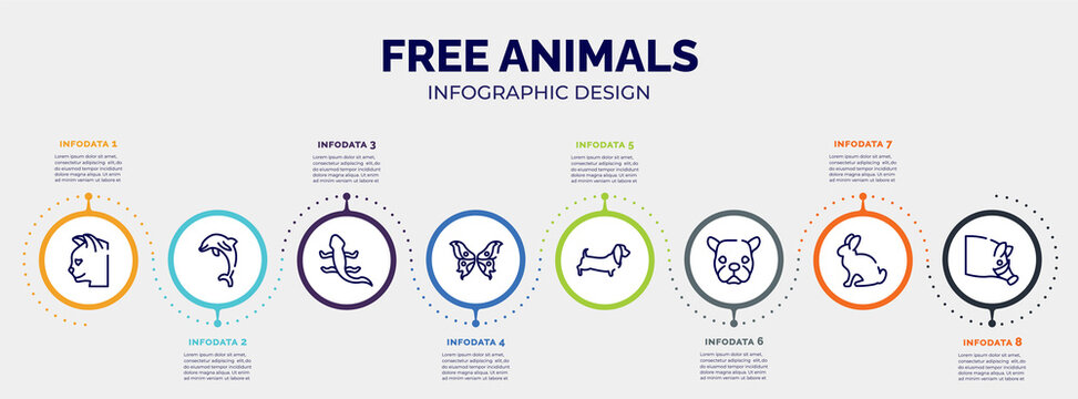 infographic for free animals concept. vector infographic template with icons and 8 option or steps. included cat head, jumping dolphin, curved lizard, butterfly wings, dog with long ears, face of