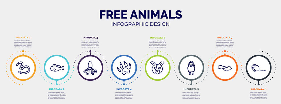 infographic for free animals concept. vector infographic template with icons and 8 option or steps. included earth worm, tropical fish, giant squid, animal paw print, dog face, sheep front view,