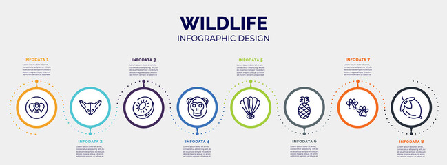 infographic for wildlife concept. vector infographic template with icons and 8 option or steps. included branches, fennec, kiwi, orangutan, shell, pine, pawprints, hazelnut editable vector.