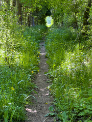 Wandern im Donaubergland