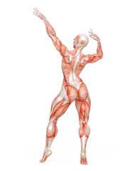 female bodybuilder is showing the guns up white background rear view