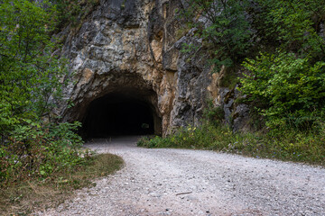 tunnel in the woods