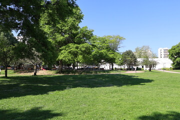 Le jardin du champ de juillet, grand parc public, ville de Limoges, d&eacute;partement de la Haute Vienne, France