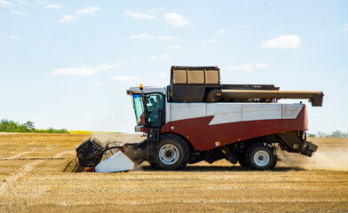 Fototapeta premium harvester at work in the field