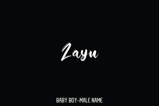 Male Name Zayn Elegant Vector Text For Logo Designs and Shop Names on Black Background