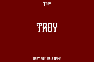 " Troy " Male Name Stylish Alphabetical Text