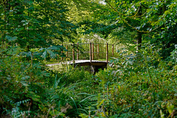 Bridge in the park in Odense
