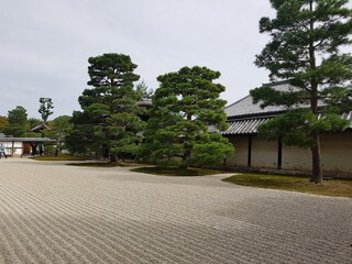 japanese garden