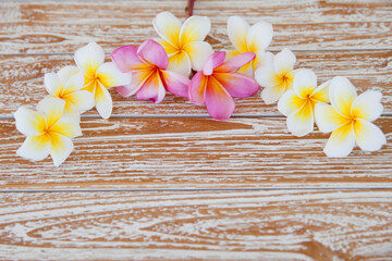 Fototapeta na wymiar White frangipapi flower on wood table with copy space for background. frangipapi flower is aroma flower and symbol of asian spa concept.