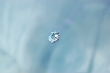 stone chip on car glass