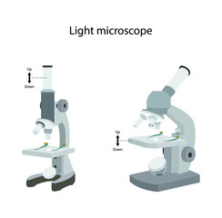 illustration of biology and physics, Light microscope, The light microscope is an instrument for visualizing fine detail of an object, a biology laboratory instrument
