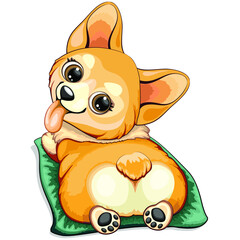 Korgi Pet Puppy Dog Personnage de dessin animé heureux et mignon sur son tapis de coussin pour animaux de compagnie Illustration vectorielle isolée sur blanc