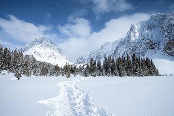 A snowshoe trail to Mount Chester in winter, Peter Lougheed Provicial Park, Alberta, Canada