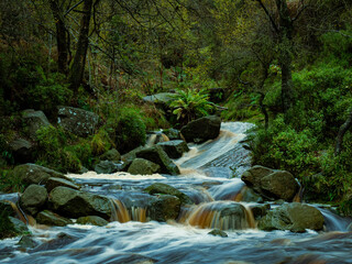 waterfall in the forest