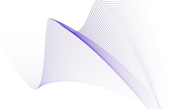 Line wave motion design. Fluent network morphing abstract background. Violet magenta purple curves on white.