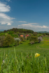 Landscape near Banska Stiavnica town in sping fresh color morning