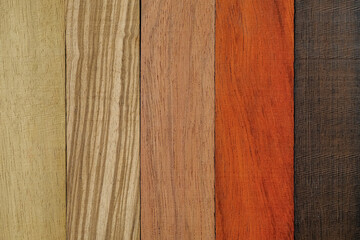 Multicolor background for a photo from different exotic woods, exotic wood, wenge, padauk, zebrano,...