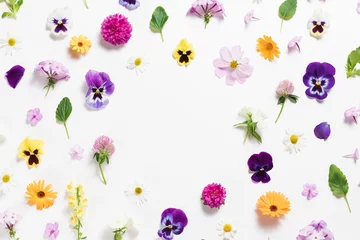 Poster Spring and summer flower composition pattern on white background. Border frame, copy space. Festive flower concept with garden pansy, camomile, colorful buds, branches and leaves. Flat lay, top view. © magic_cinema
