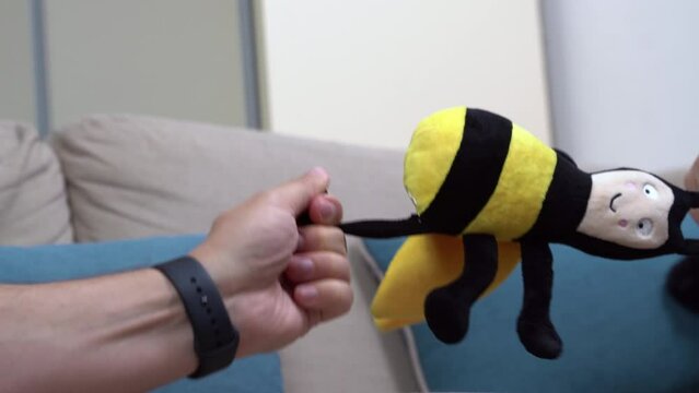 Two people, a guy and a girl, are stretching with their hands a toy for dogs in the form of a bee on the background of a sofa. Close up
