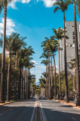 Brazil avenue with its palm trees on a sunny afternoon. Belo Horizonte, Minas Gerais, Brazil.