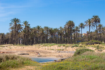 Vega Baja del Segura - Torrevieja - Un oasis junto al mar en Cala Ferris