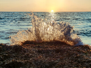Vega Baja del Segura - Torrevieja - Un oasis junto al mar en Cala Ferris