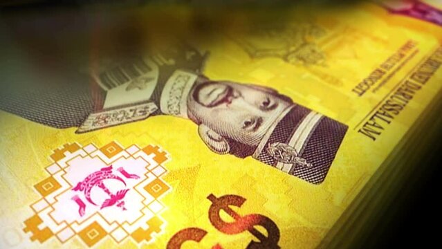 Brunei dollar money counting. BND banknotes. Fast cash note count macro loop. Business and economy loopable and seamless concept. Economy and business.