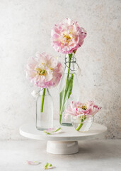 Beautiful bouquet of white, rose, green filled tulip flowers in glass vase and bottles. (Tulipa Danceline)
Home or garden decoration. Copy space.