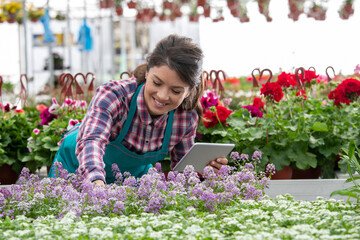 Female florist using tablet for monitoring plants in nursery garden.