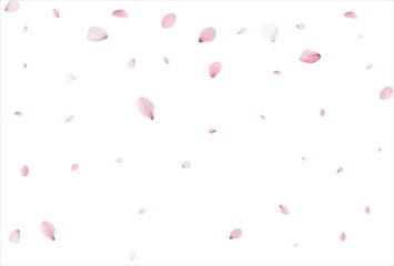 Sakura petals background. Cherry petals