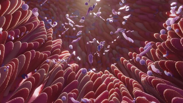 Microbiome intestine factories and microbiota. Gut health 3d render. Microvilli with factories in intestine 