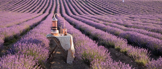 Distillation of lavender essential oil and hydrolate. Copper alambic for the flowering field. - obrazy, fototapety, plakaty