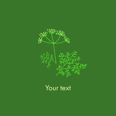 Beautiful cute sprig of yarrow on a green background with space for text.